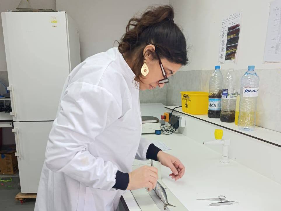 المركز الوطني للبحث والتنمية في الصيد البحري وتربية المائيات