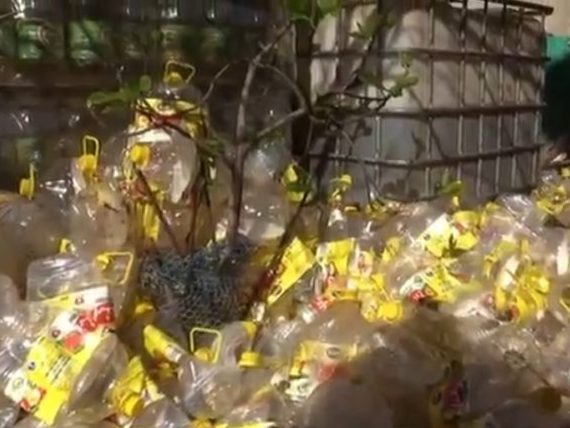 زيت المائدة المدعم