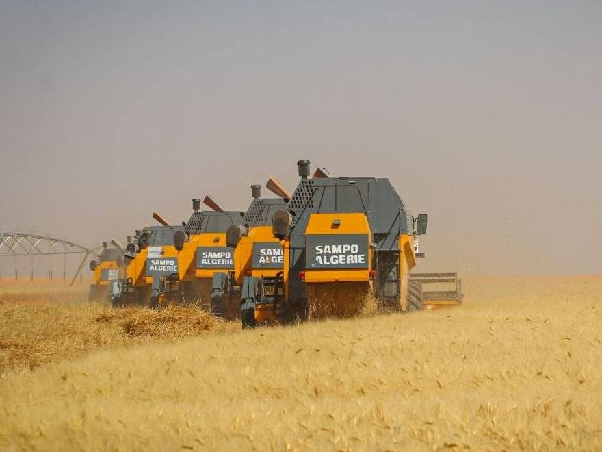 حملة الحصاد والدرس