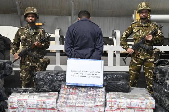 شبكة اجرامية