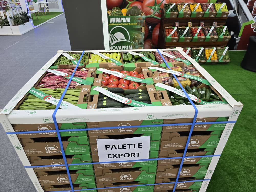 Lancement samedi d’une vaste opération d’exportation depuis 13 wilayas