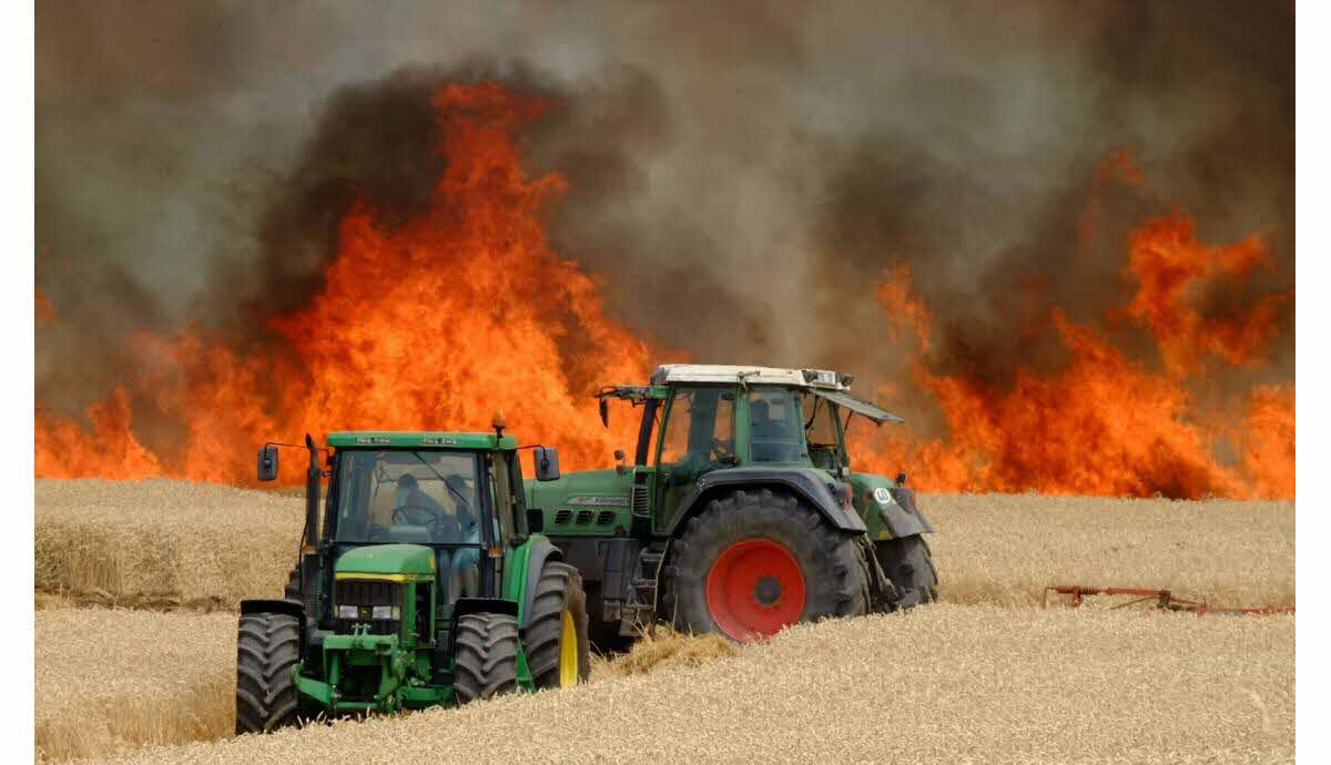 Incendies de récoltes agricoles dans le Sud