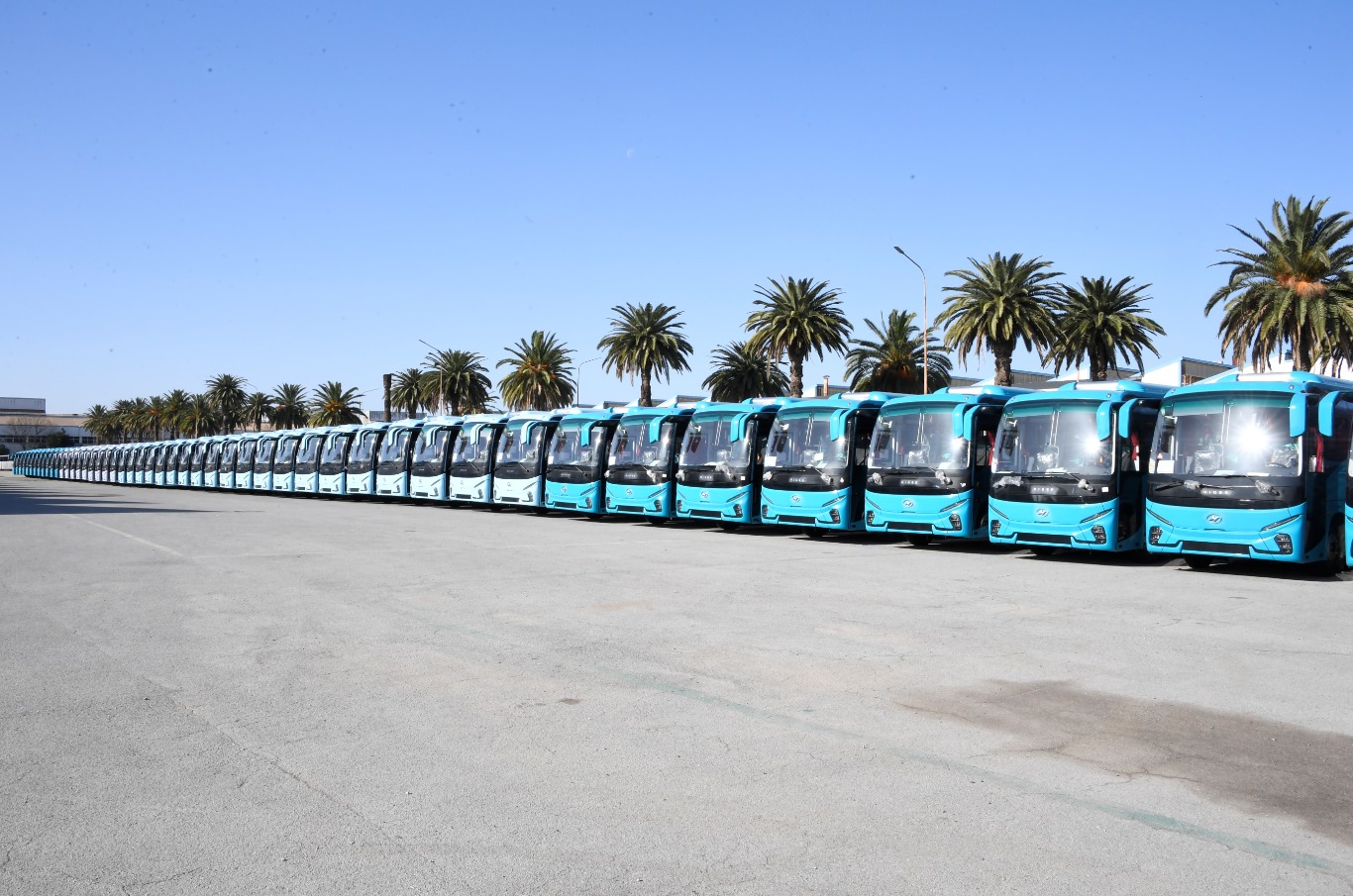 تسليم أول دفعة لحافلات نقل المسافرين المستوردة