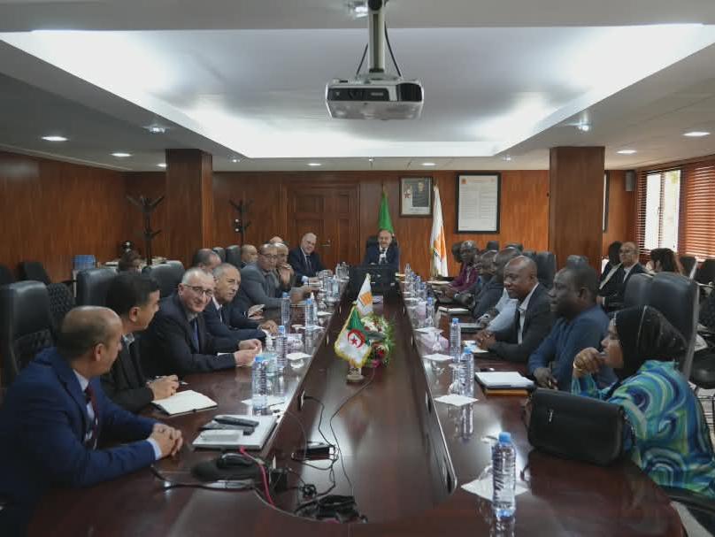 الجزائر النيجر