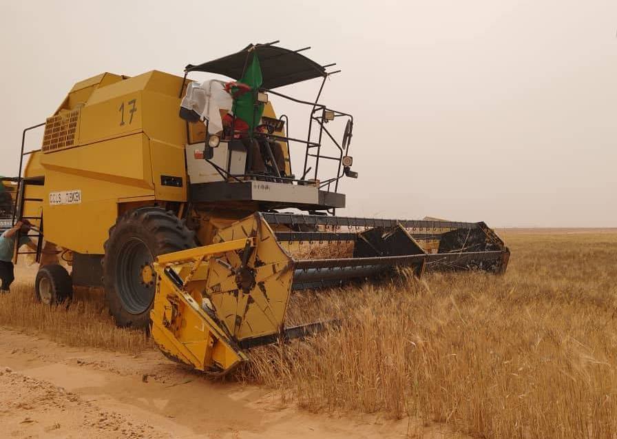 agri-dz-it-15.05.26.jpg