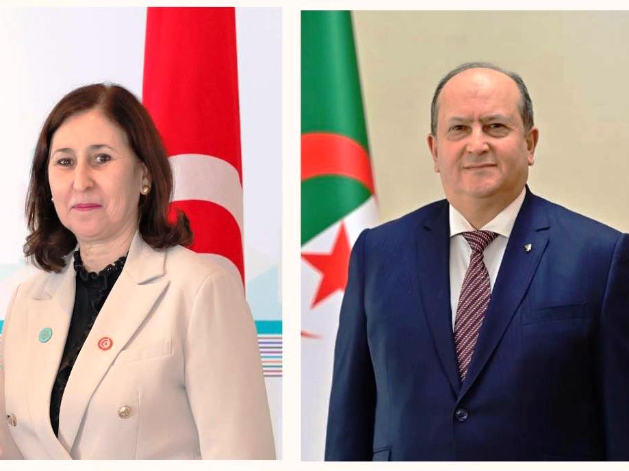الوزير الأول يجري مكالمة هاتفية مع نظيرته التونسية