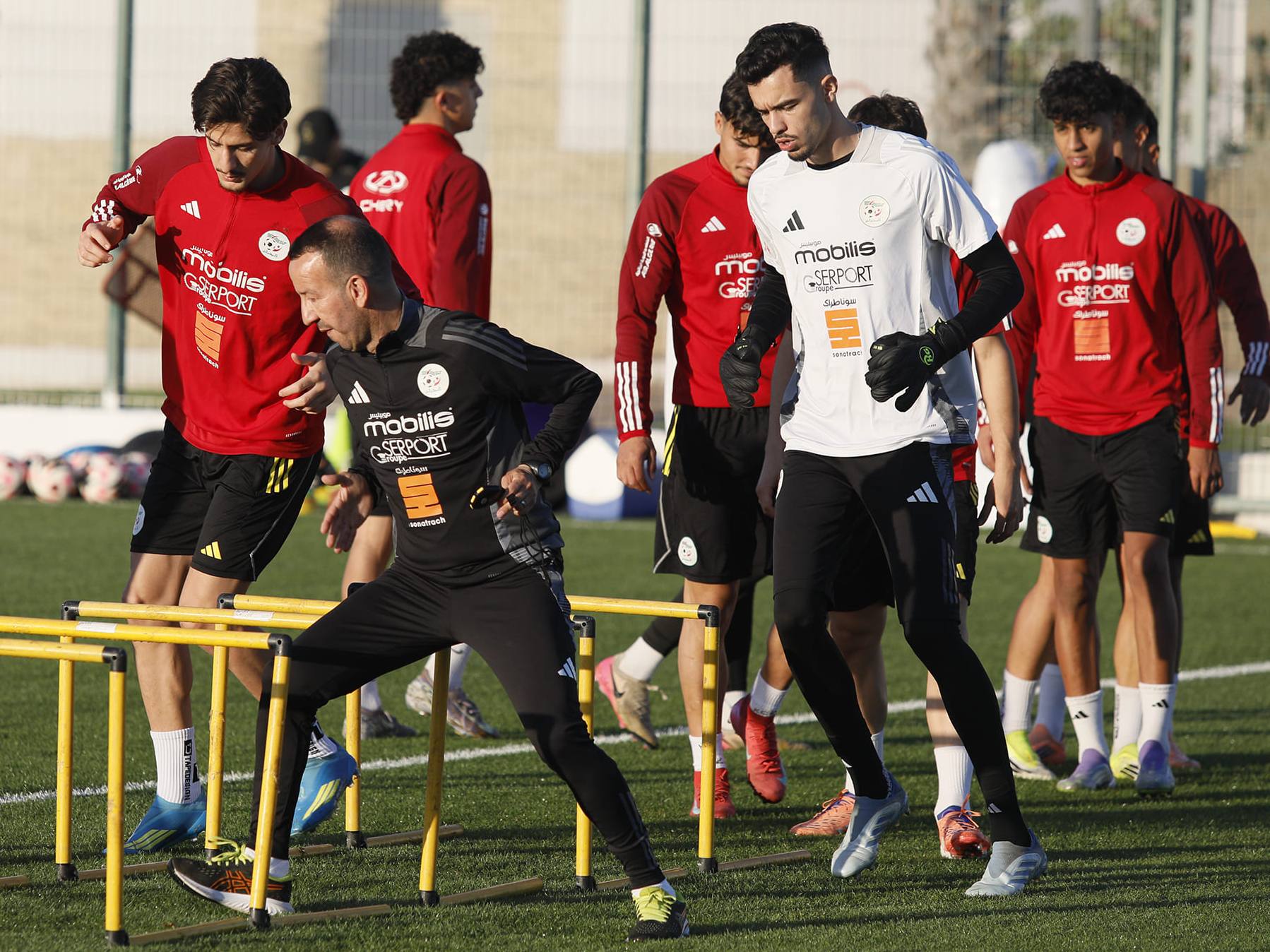 Les Verts en stage à Alger