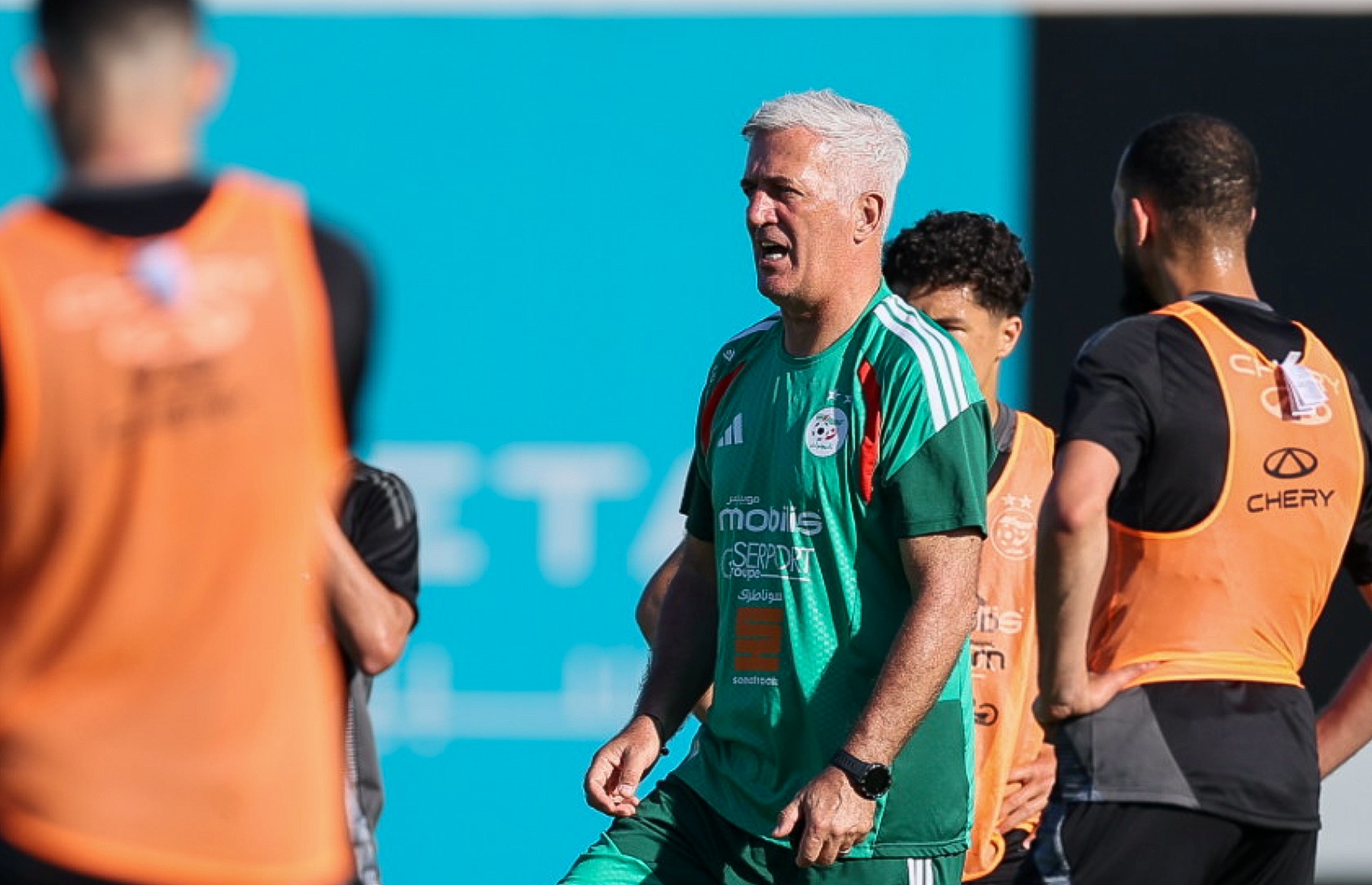 lesverts-30.05.26.jpg