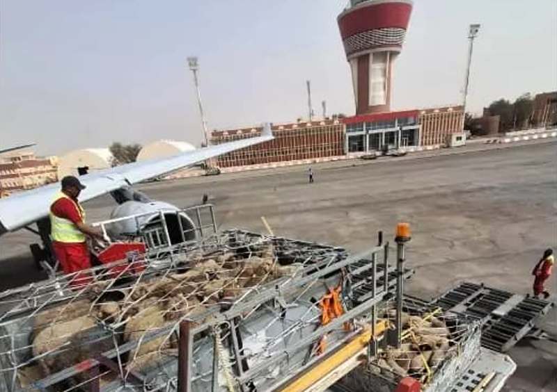 Arrivée d’un lot de 840 têtes de moutons importées à l’aéroport de Tamanrasset