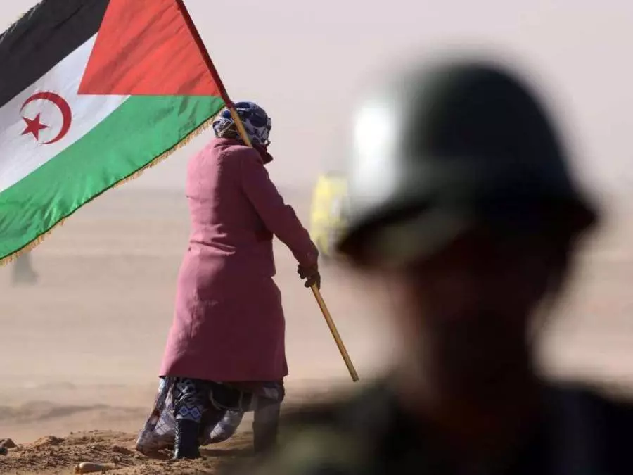 الأمم المتحدة الصحراء  الغربية