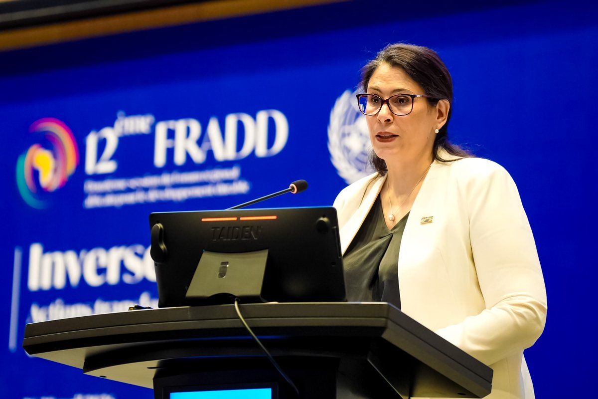 Haddadi salue l'approche globale de l'Algérie envers l'Afrique
