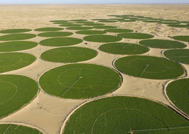 terres-agricoles-sud-22.05.26.jpg