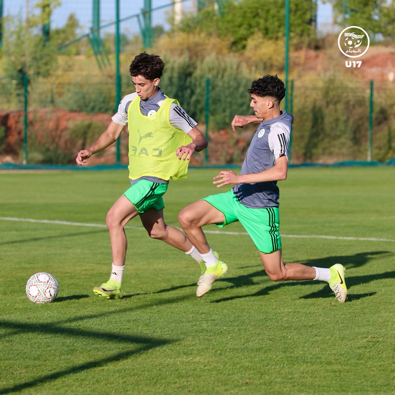 U17
