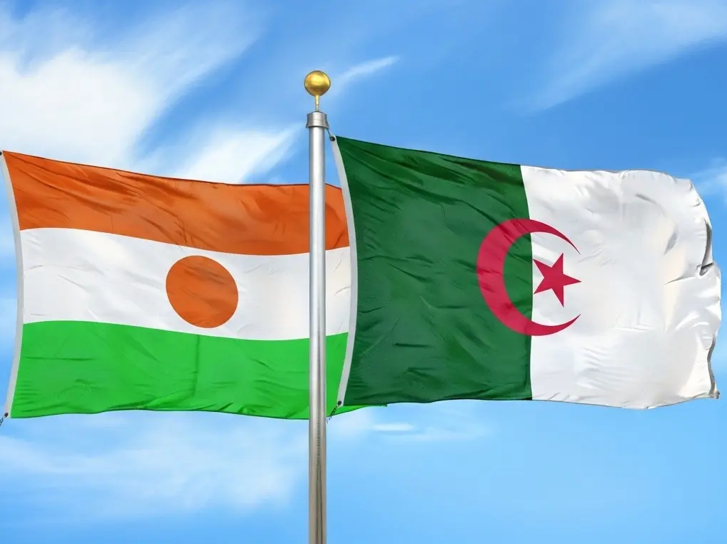 الجزائر النيجر