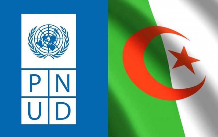 algerie-pnud-mai2026.jpg