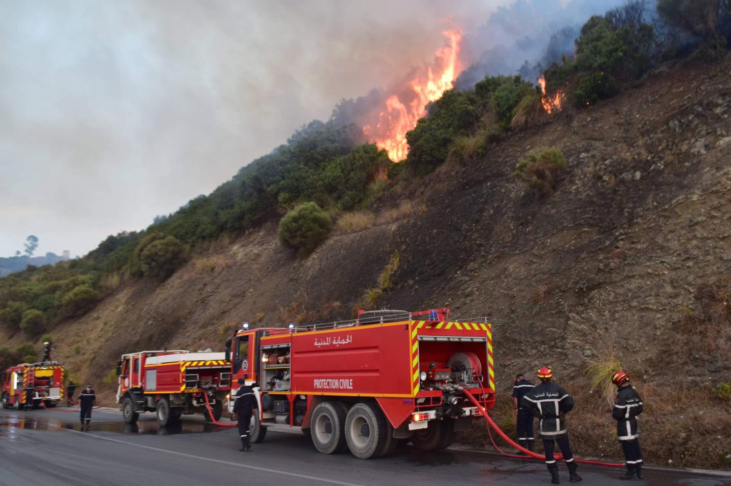 حماية مدنية