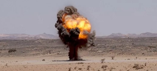الجزائر تنظم بجنيف حدثا جانبيا حول تعزيز  دعم ضحايا الألغام المضادة للأفراد
