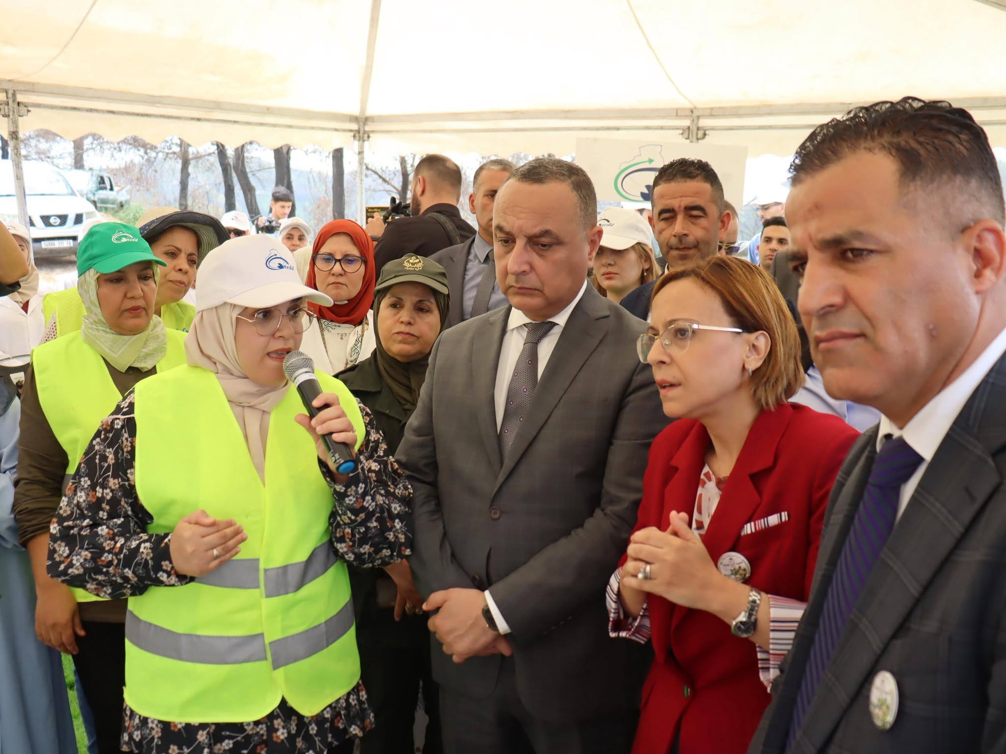 ولاية تيبازة