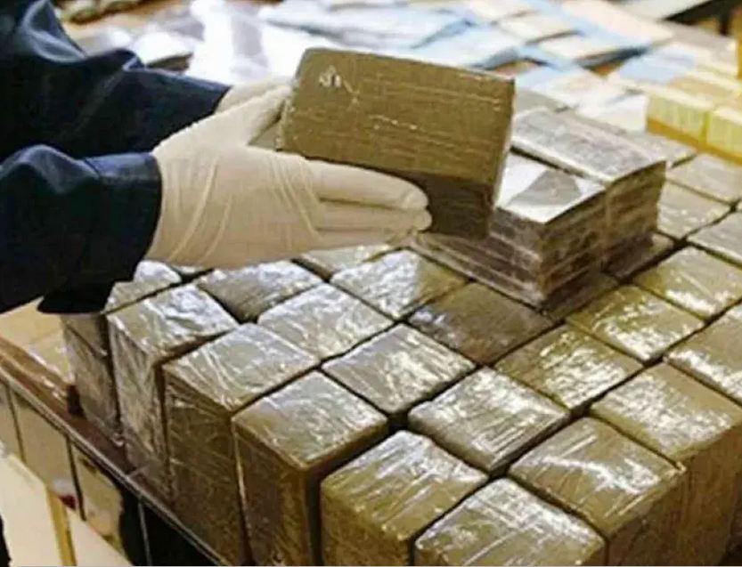 المغرب تهريب الحشيش