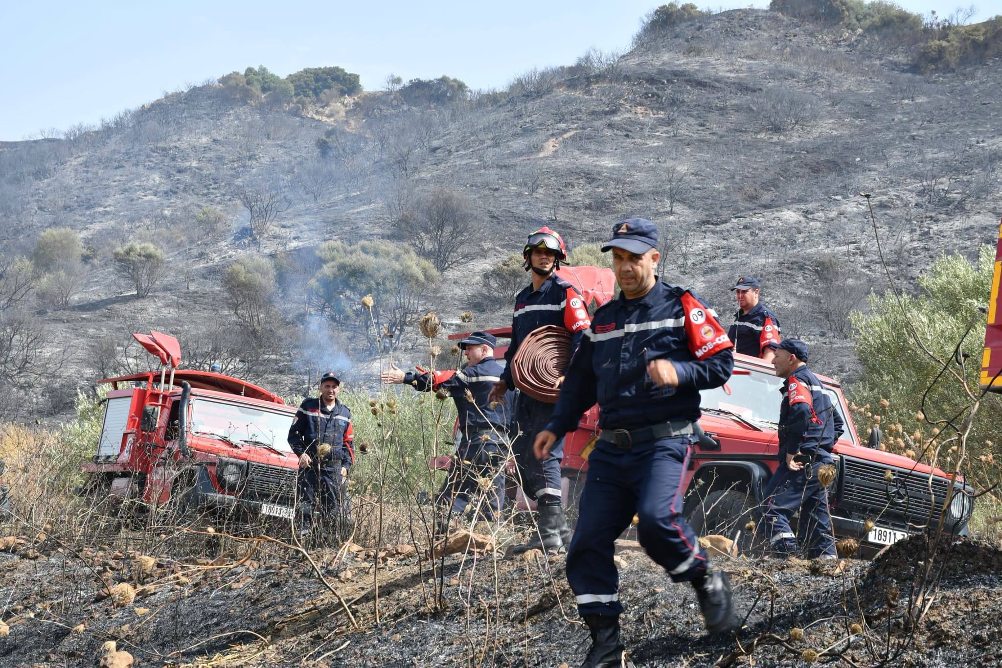 Extinction de 42 incendies sur 43 au cours des dernières 24 heures