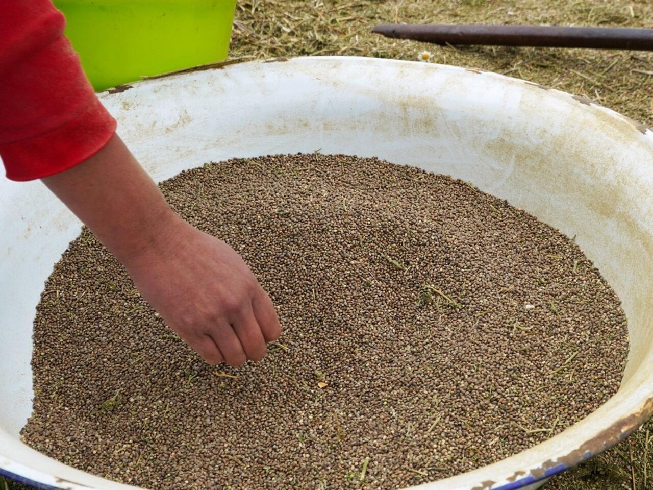 مضيق جبل طارق تحوّل إلى ممر استراتيجي لتدفق الحشيش المغربي