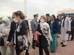 وفد افريقي