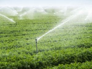 Irrigation agricole