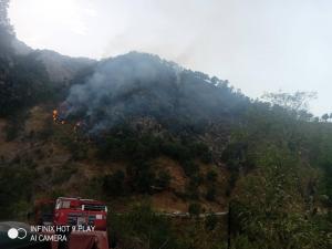 Incendies de forêts