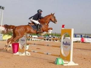 كأس الجزائر للفروسية