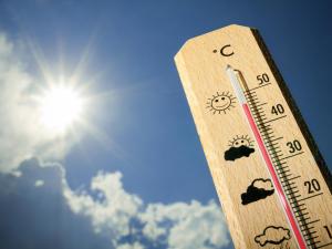 BMS Canicule