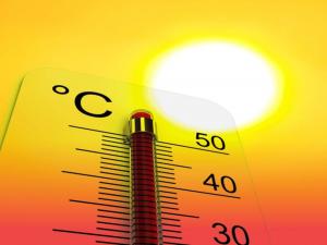 canicule1.jpg