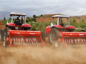 Campagne labours-semailles de la  saison agricole 2024-2025 