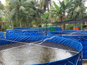 Aquaculture