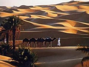 HTT Adrar