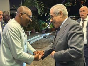 العرباوي يجري بفريتاون محادثات مع نائب الرئيس السيراليوني 