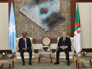 عبد المجيد تبون