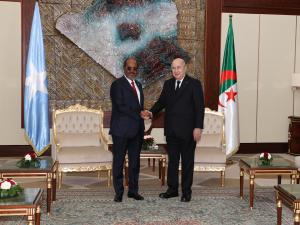 عبد المجيد تبون