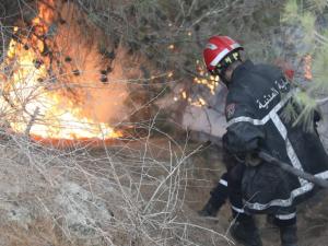 حماية مدنية