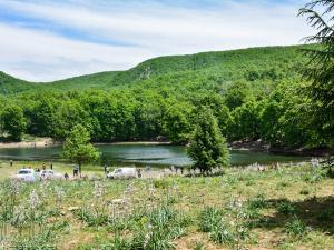 غابة أكفادو