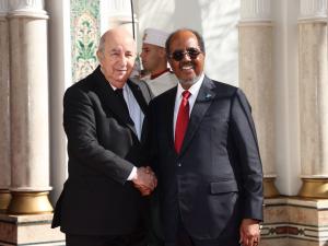 بدور الجزائر في تعزيز السلام و العدالة والتضامن الافريقي