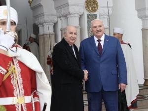 الجزائر بيلاروسيا