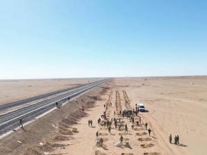 سكك الحديد تندوف 