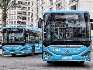 L'Etusa lance 30 nouvelles lignes à Alger et sa périphérie à partir de dimanche