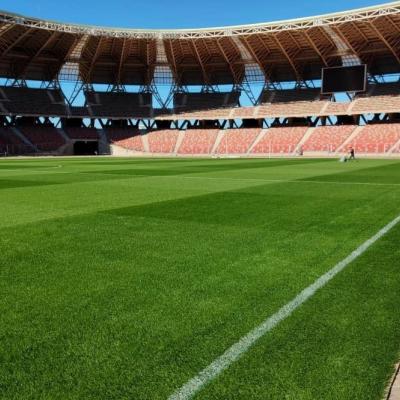 Nouveau stade d'Oran