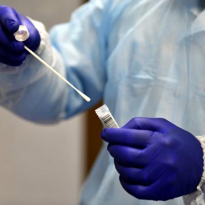 Coronavirus, Bilan