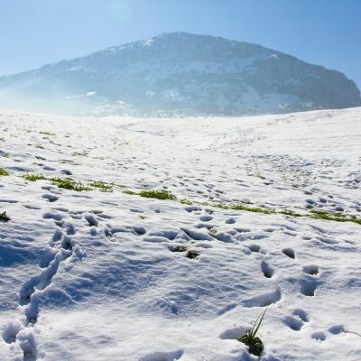 BMS neige