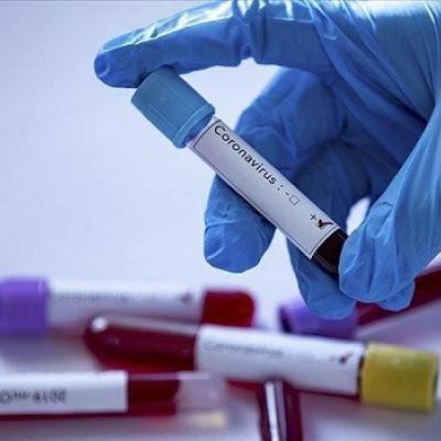 Coronavirus, Bilan