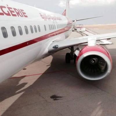 Air Algérie 