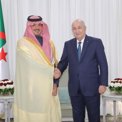 رئيس الجمهورية يستقبل وزير الداخلية السعودي