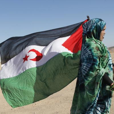 الصحراء الغربية